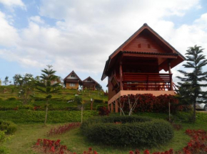 Khao Kho Flora, Khao Kho